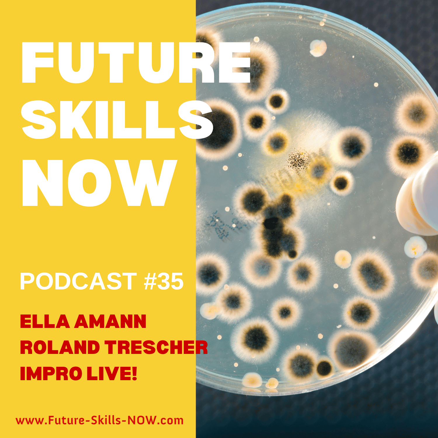impro live! Podcast | Angewandte Improvisation in Business und Training